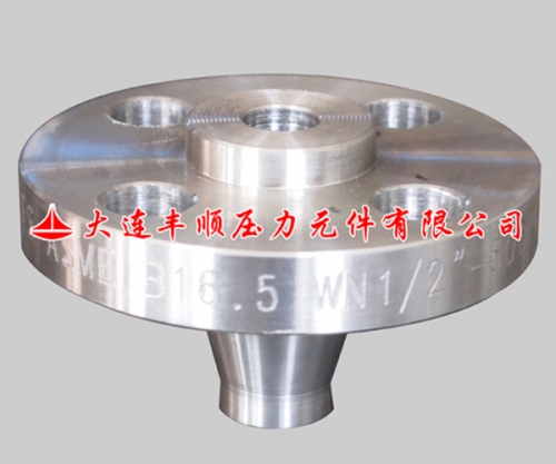 帶頸對(duì)焊法蘭(lán)